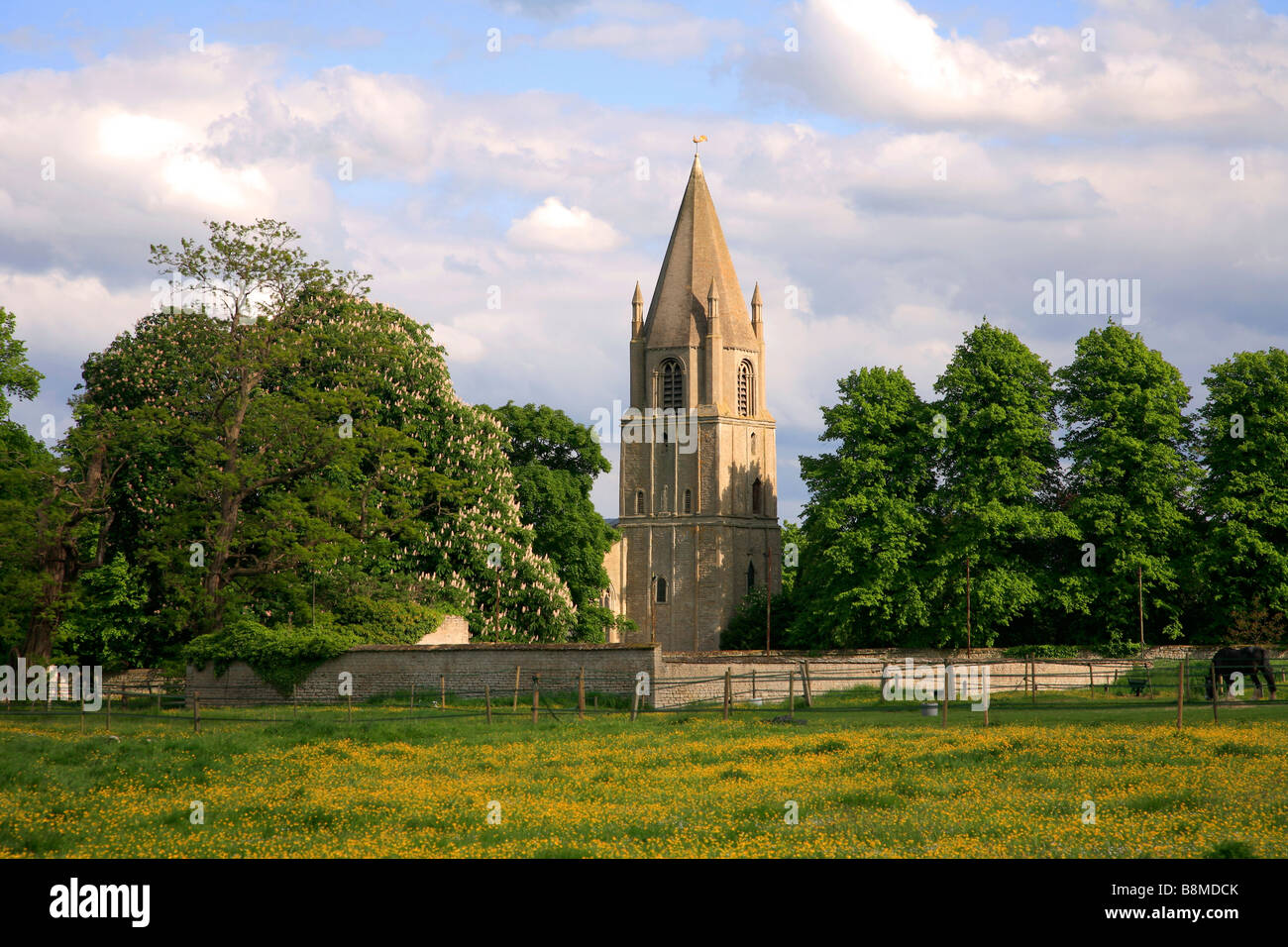 Summer Landscape Scene Buttercup Meadows St Johns Church Barnack