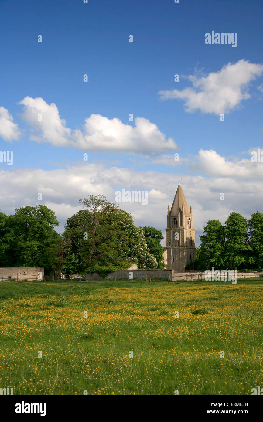 Summer Landscape Scene Buttercup Meadows St Johns Church Barnack