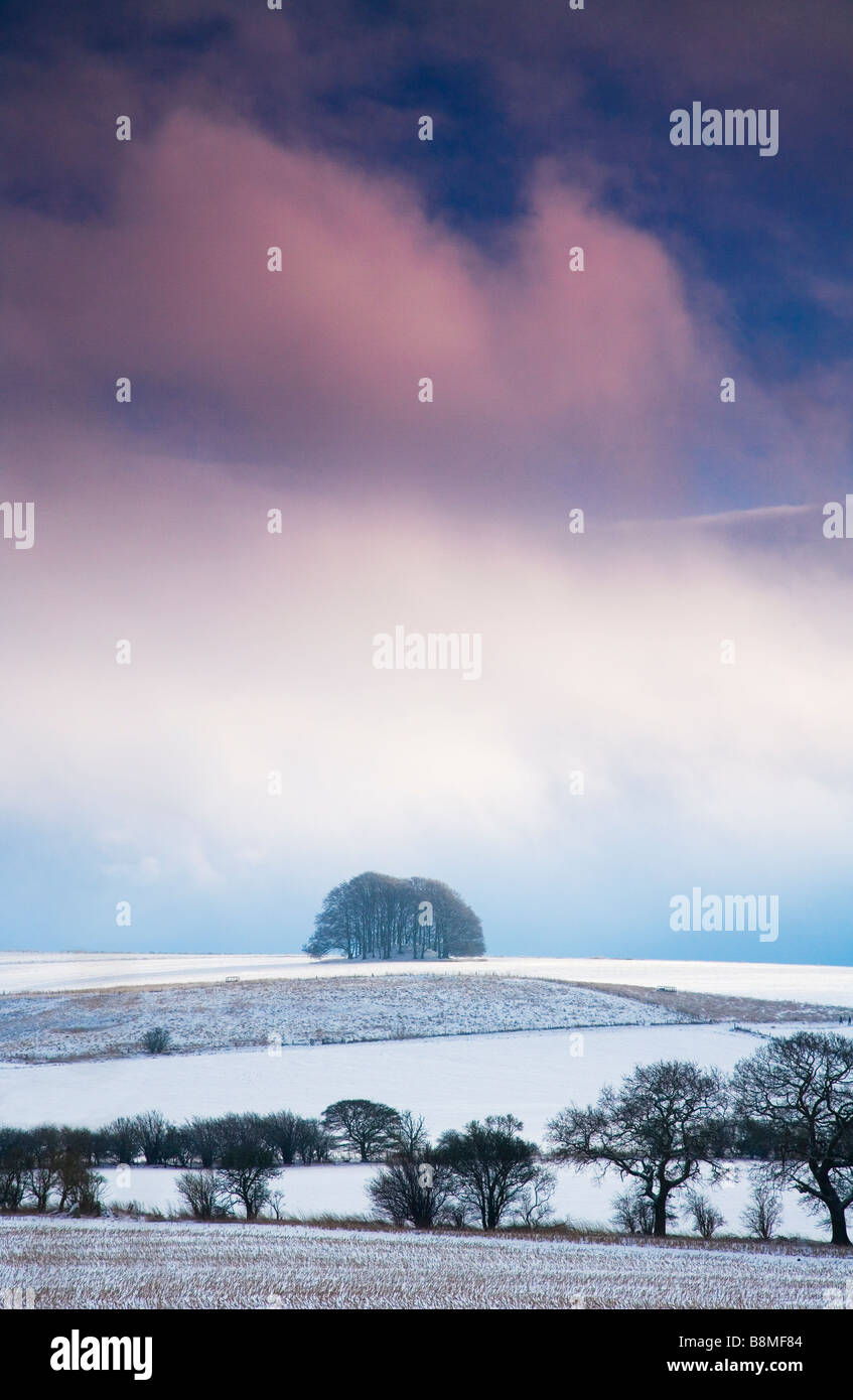Snowy landscape winter scene hi-res stock photography and images - Alamy