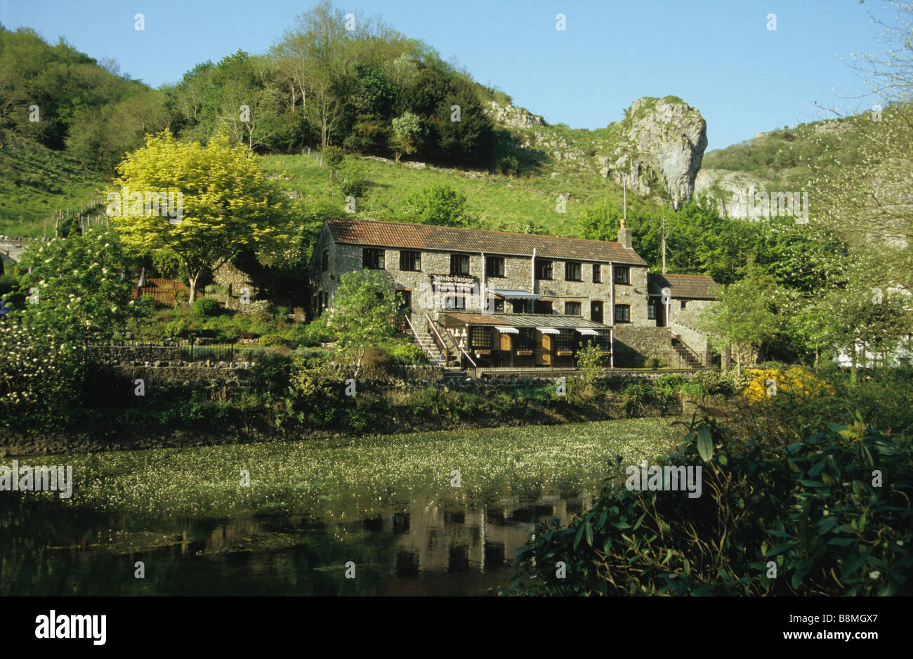 Hillside Cottage Tea Rooms Cheddar Gorge Somerset England Stock