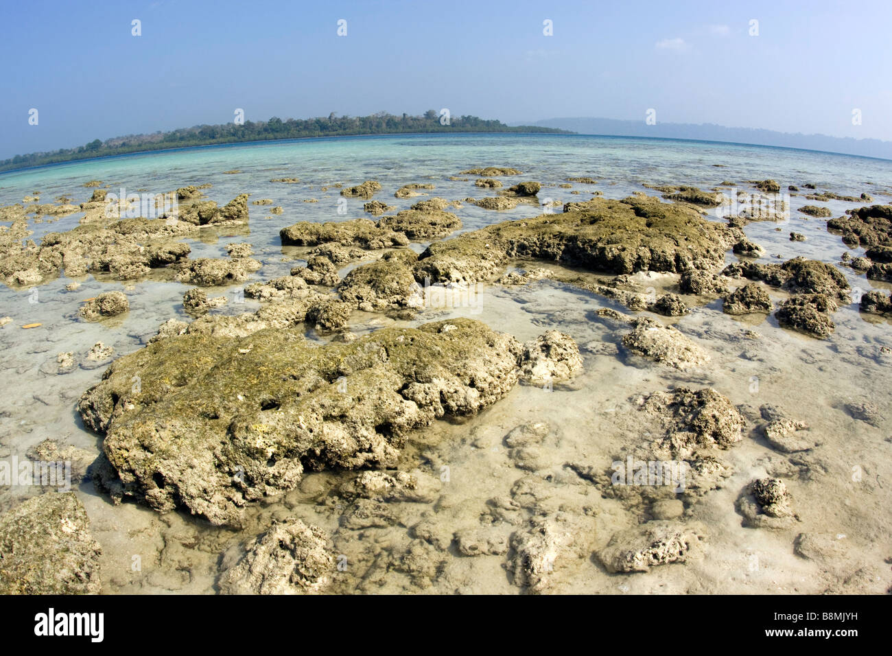 India Andaman and Nicobar Havelock island number 2 beach coral reef exposed at low tide Stock Photo