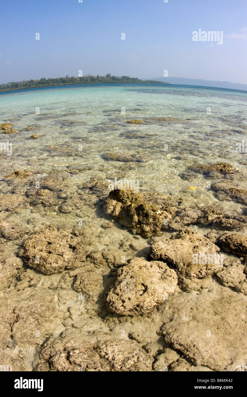 India Andaman and Nicobar Havelock island number 2 beach coral reef exposed at low tide Stock Photo