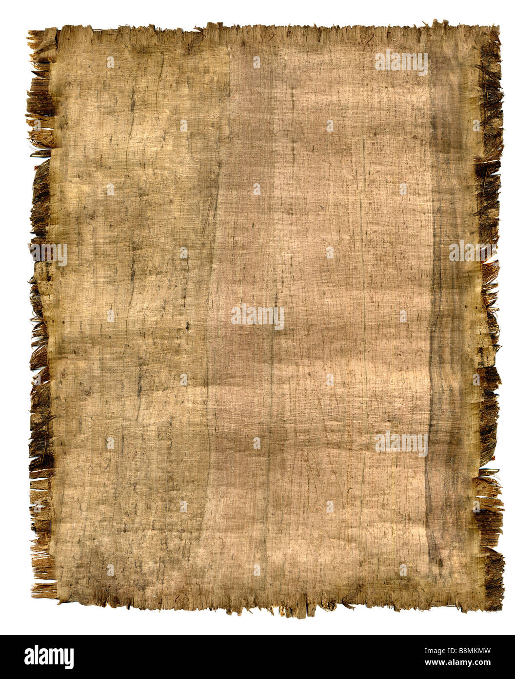 Parchment A fragment of the Egyptian parchment made in 19 century Stock