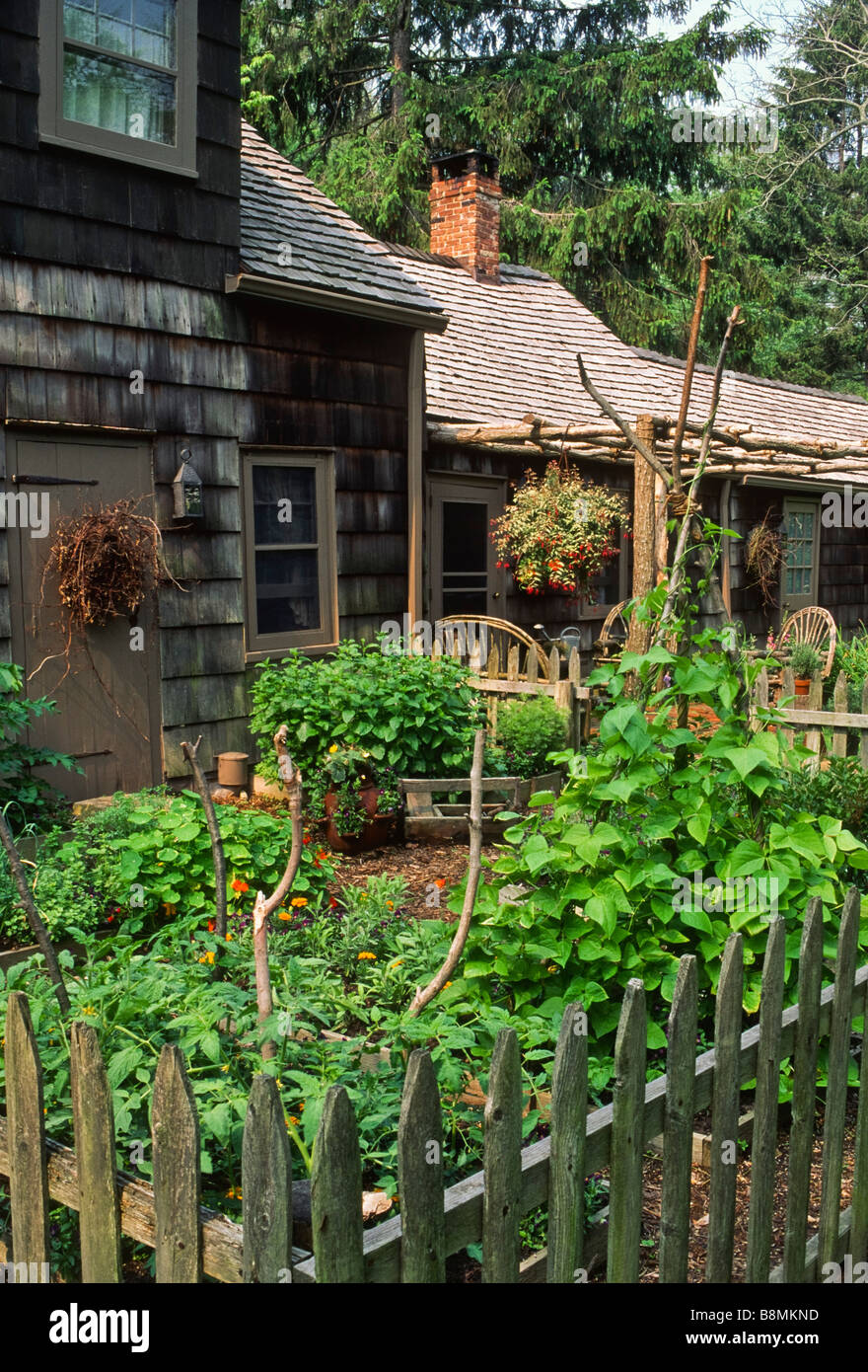 This Colonial-style dooryard herb and vegetable garden features historically correct plants and a grapevine wreath on the door. Stock Photo