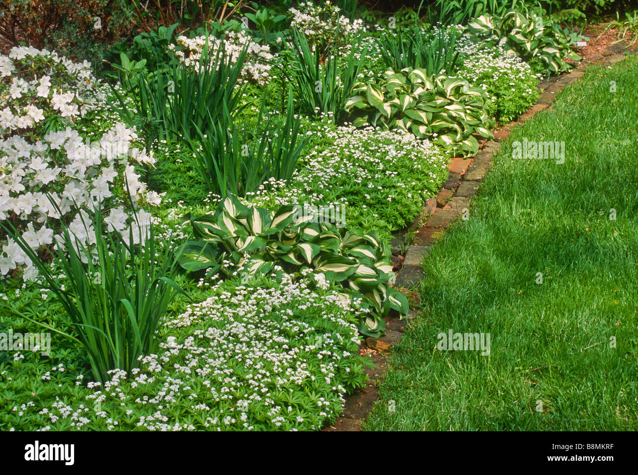 A spring garden with a white color scheme and a brick mowing strip. Stock Photo