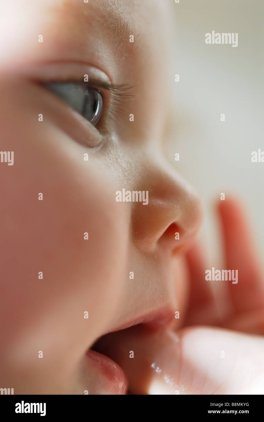 Close up portrait of 4 month old baby girl sucking thumb Stock Photo