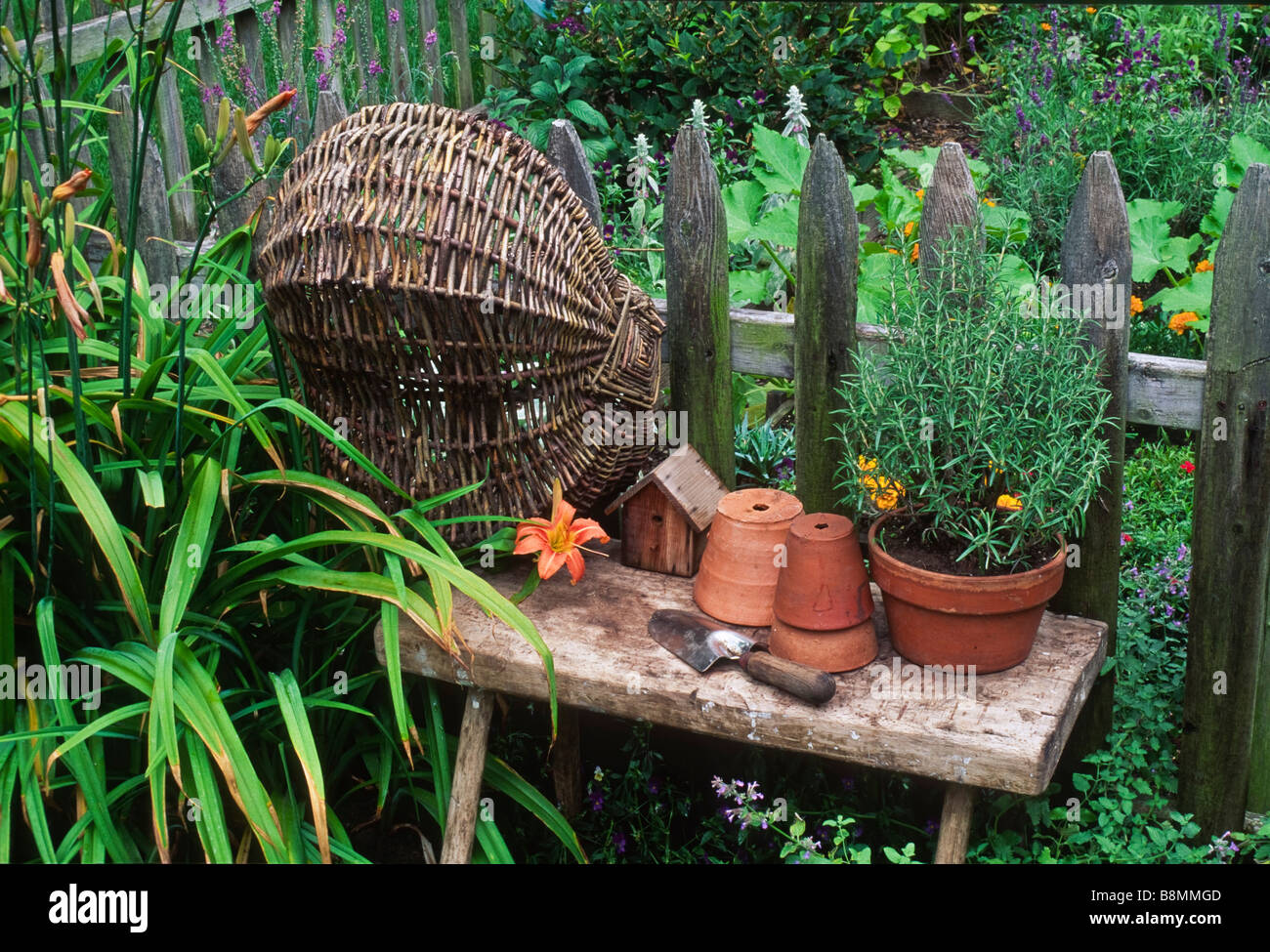 Gardening items including a potted rosemary rest on a rustic bench in front of a weathered picket fence in a country garden. Stock Photo
