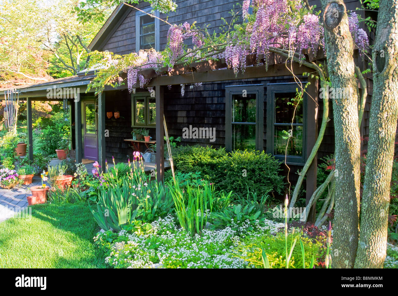 A country cottage garden in spring with farmhouse. Stock Photo