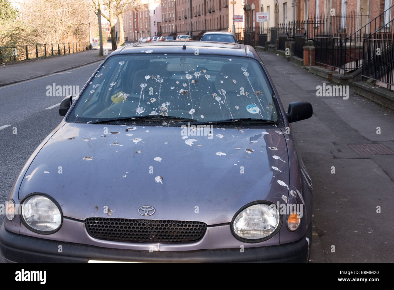 Motor car covered in bird droppings Stock Photo Alamy
