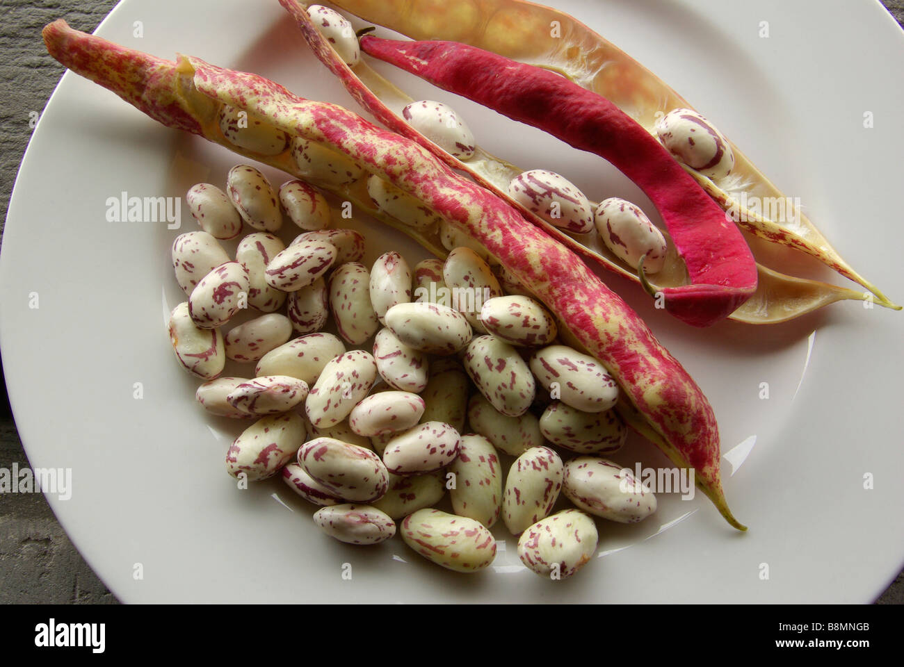 Italian Borlotti beans Stock Photo