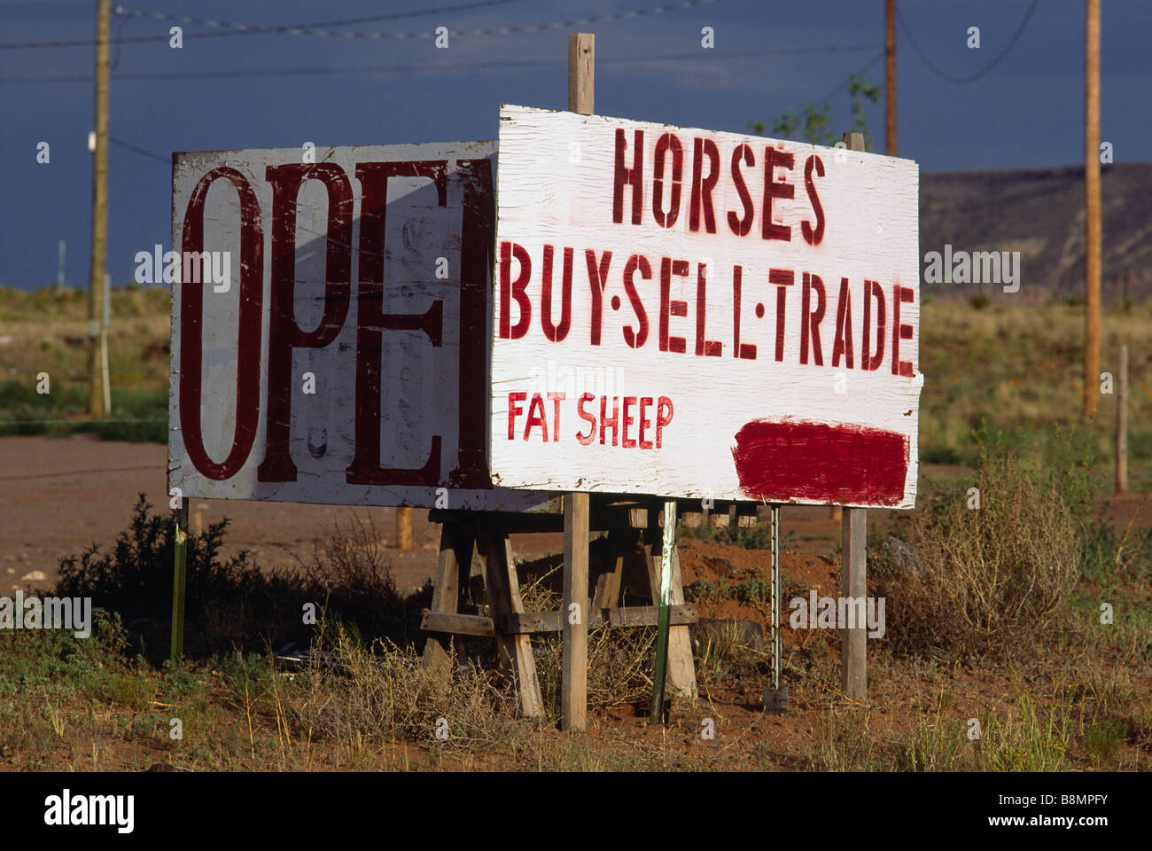 Road side livestock for sale sign, New Mexico Stock Photo