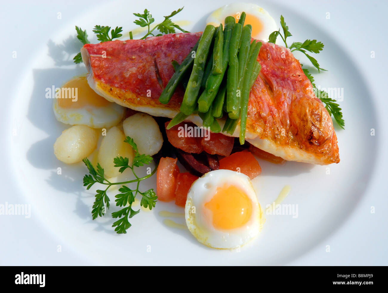 Red snapper with quails egg Stock Photo