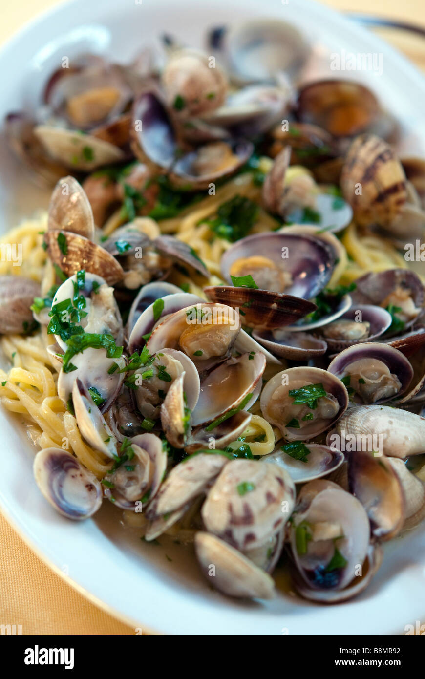 Vongole with pasta Stock Photo