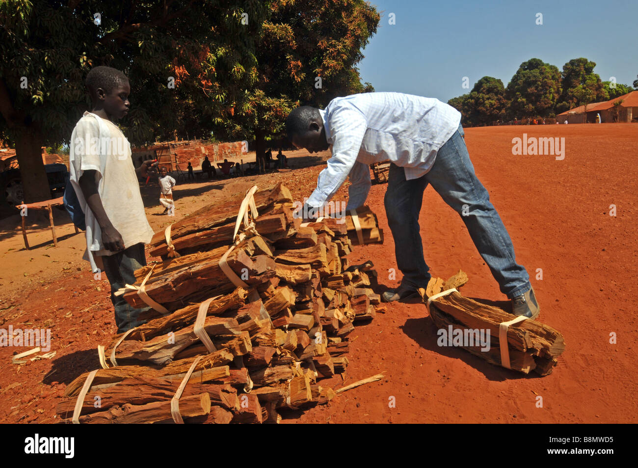 Buying 'fire wood' on the roadside in The Gambia “West Africa” Stock Photo
