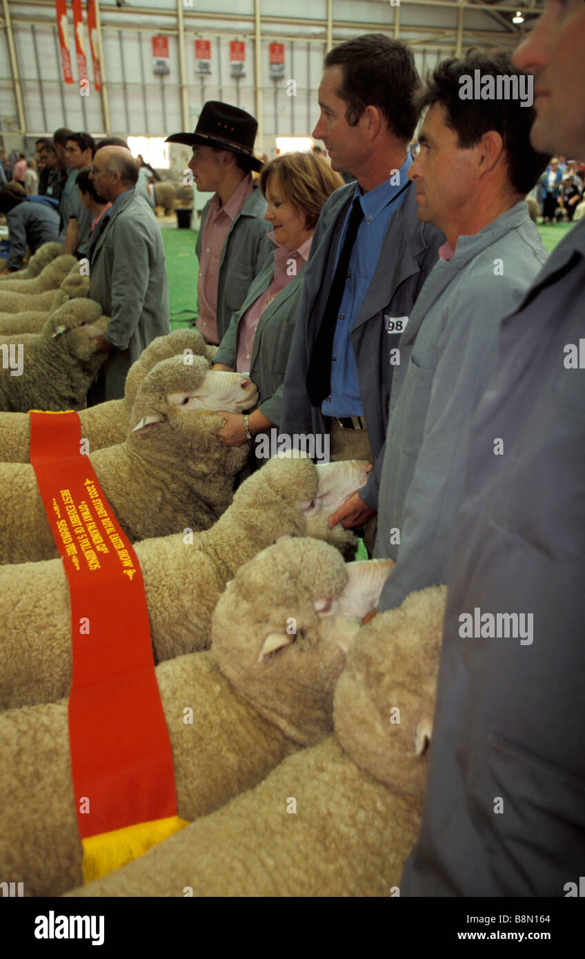 Sydney royal easter show hi-res stock photography and images - Alamy