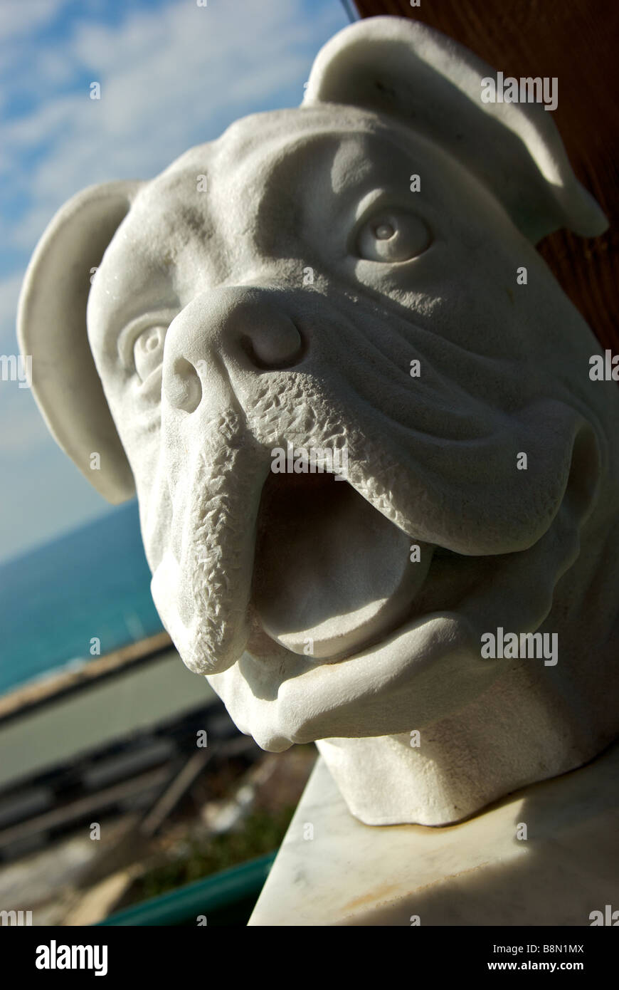 Gypsum bust sculpture of boxer dog Ilana Goor Museum art gallery roof
