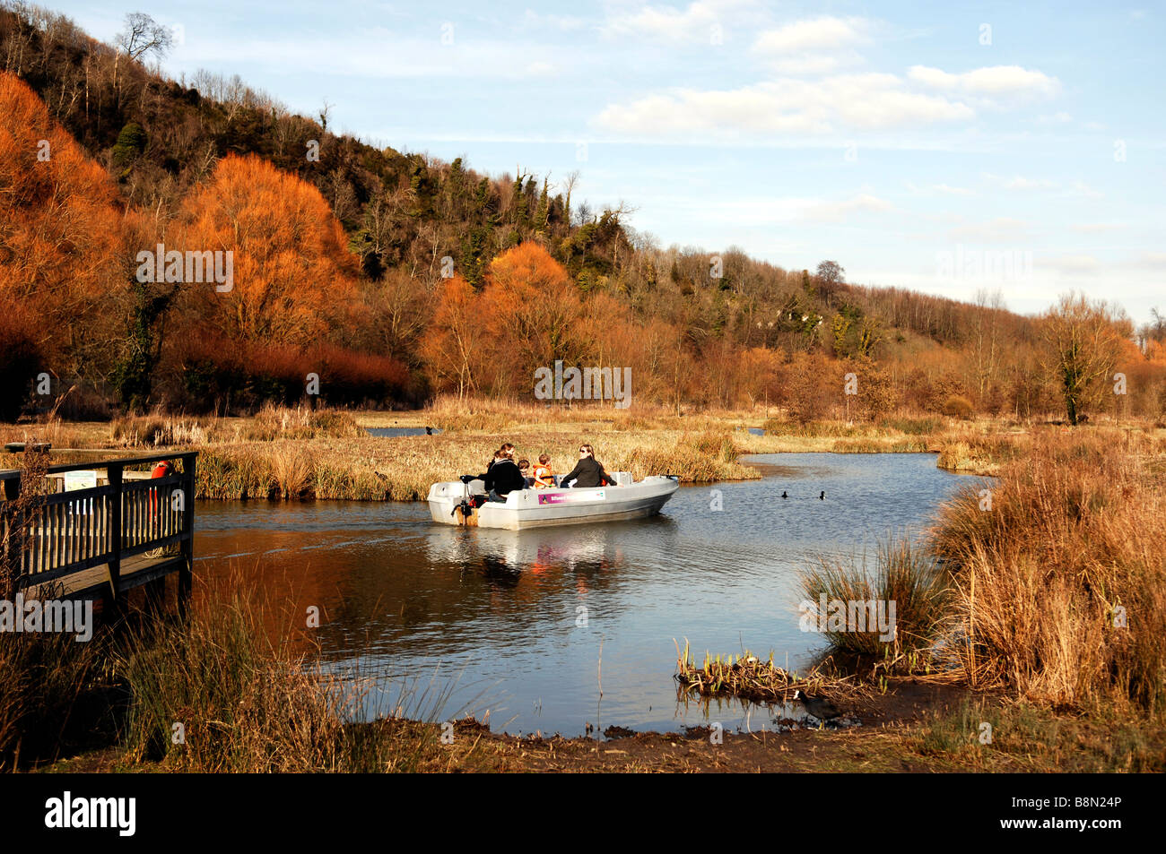 The WWT Arundel Wetland Centre in West Sussex Stock Photo