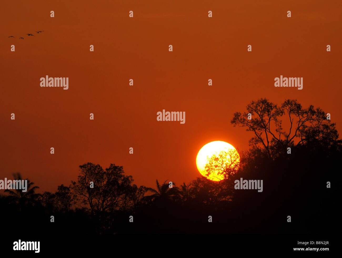 Sunrise in The Gambia, West Africa Stock Photo