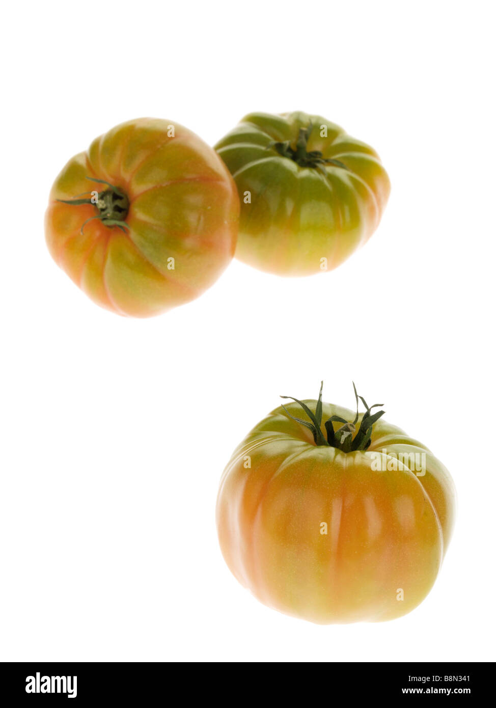 Fresh Ripe Large Marmande Green Tomatoes Isolated Against A White Background With No People And A Clipping Path Stock Photo