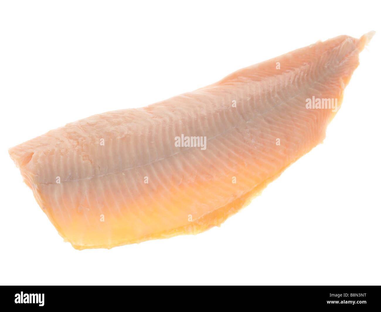 Fresh Trout Stock Photo Alamy