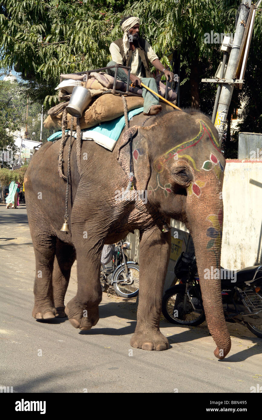 indian elephant and handler in the back streets Stock Photo
