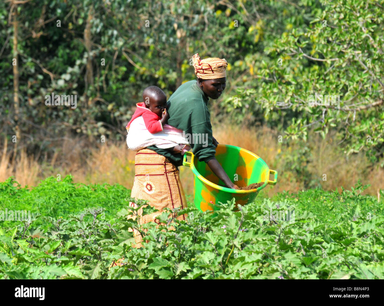 African woman work field hi-res stock photography and images - Alamy