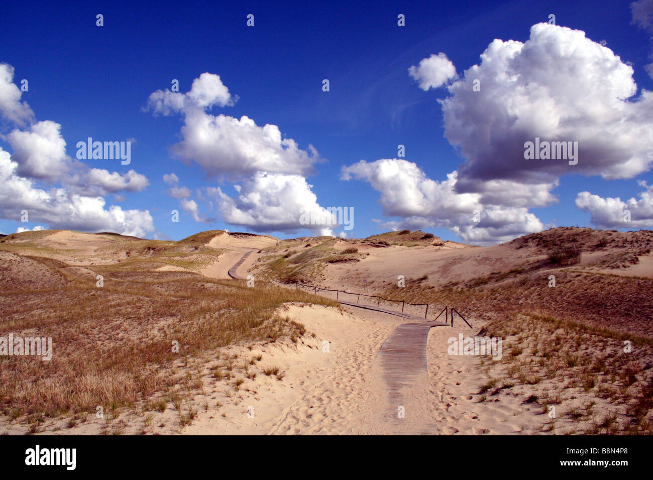 Sand Dunes in the Neringa/Curonian Spit National Park in Lithuania Stock Photo