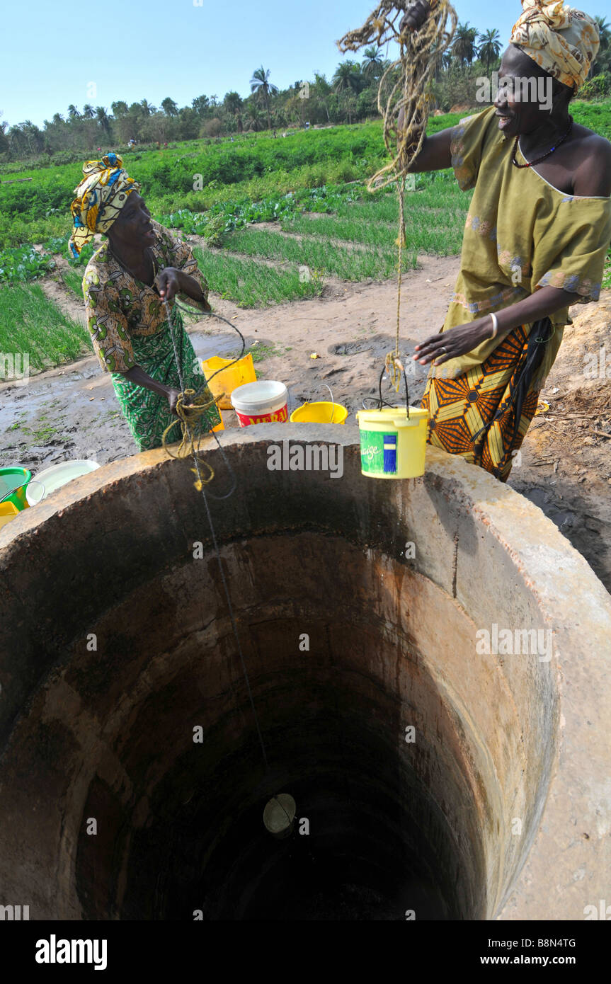 Women collect water from a well to water their crops in The Gambia, “West Africa” Stock Photo