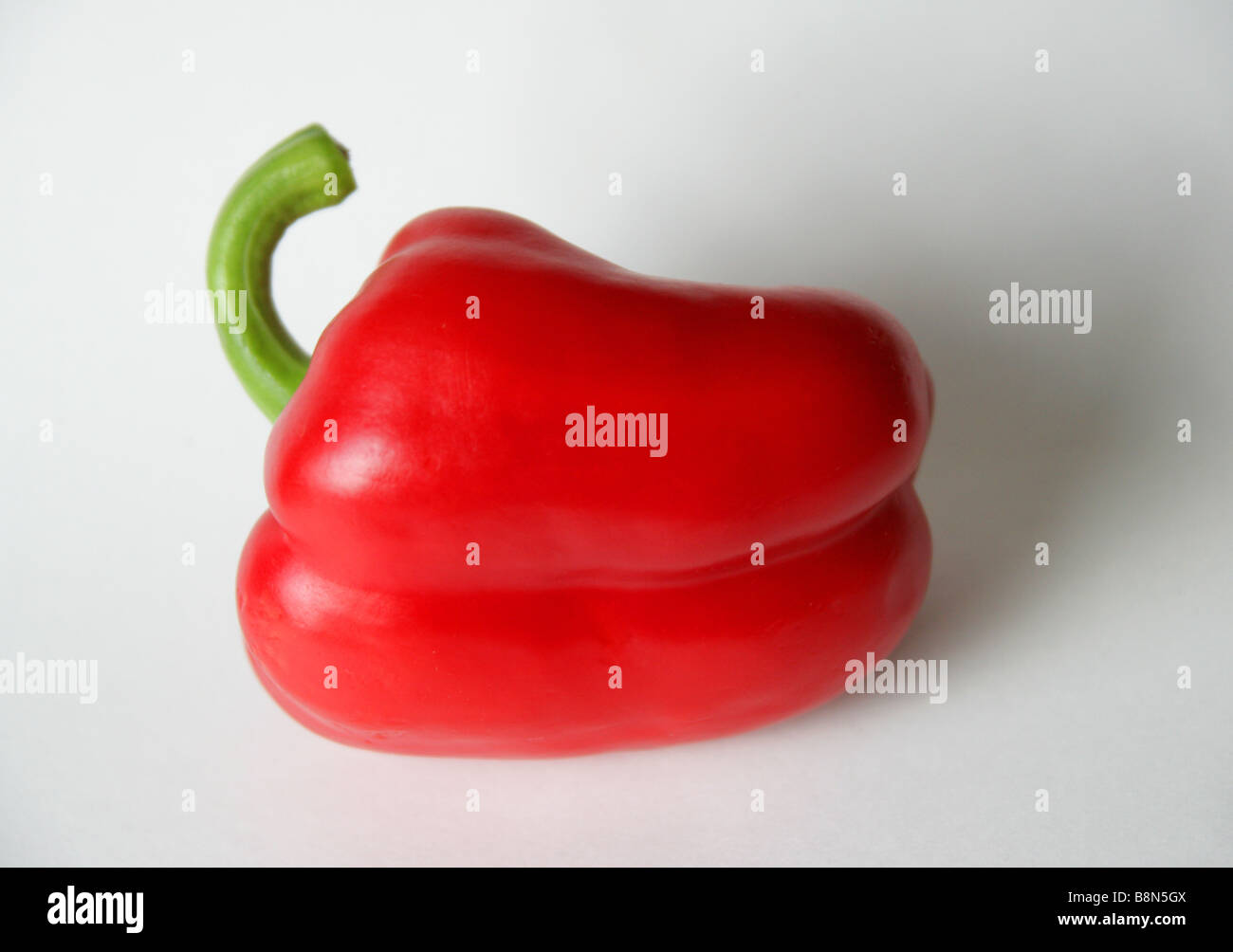 Red Capsicum Pepper Stock Photo