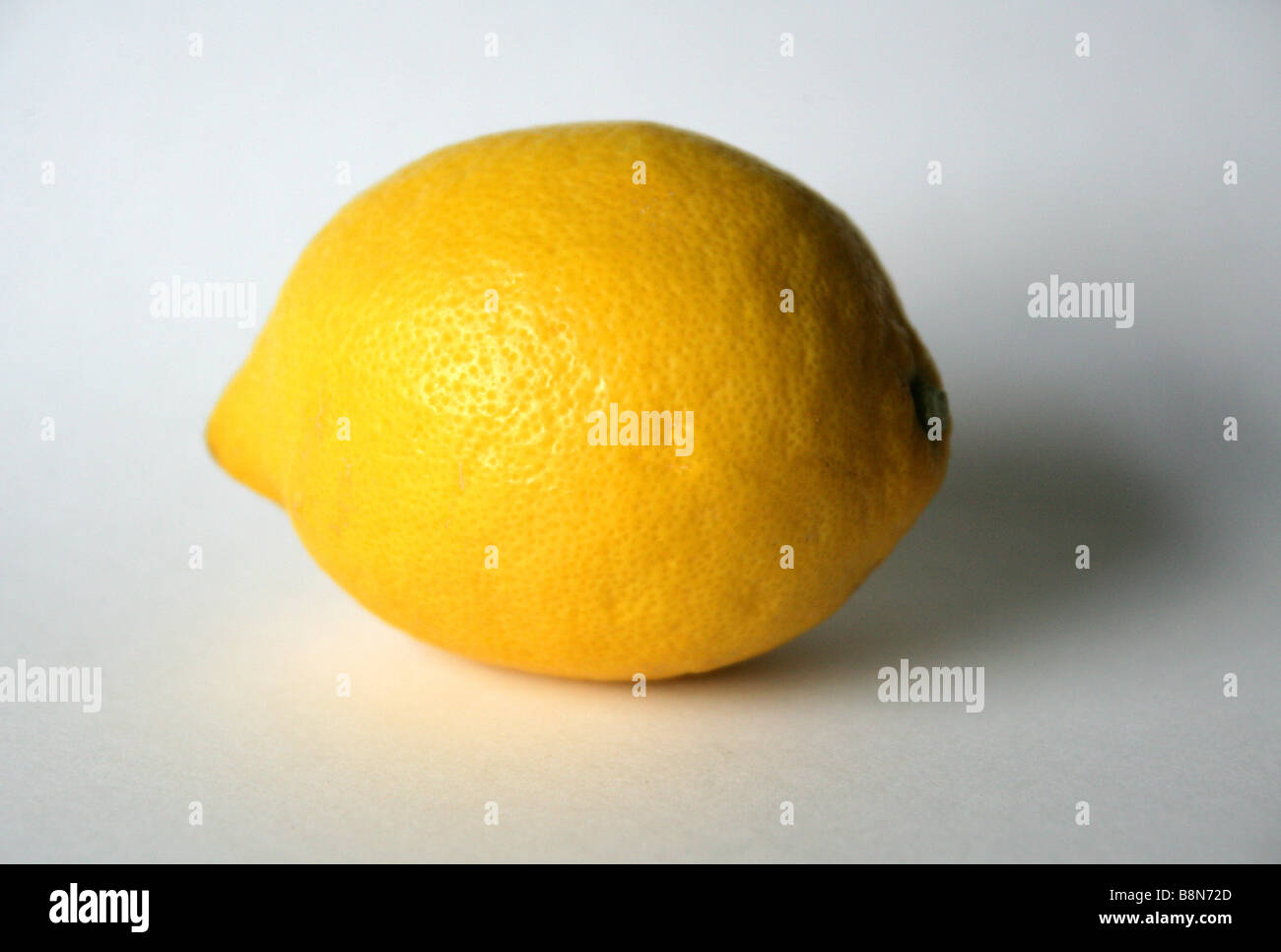 Lemon, Citrus limon Stock Photo