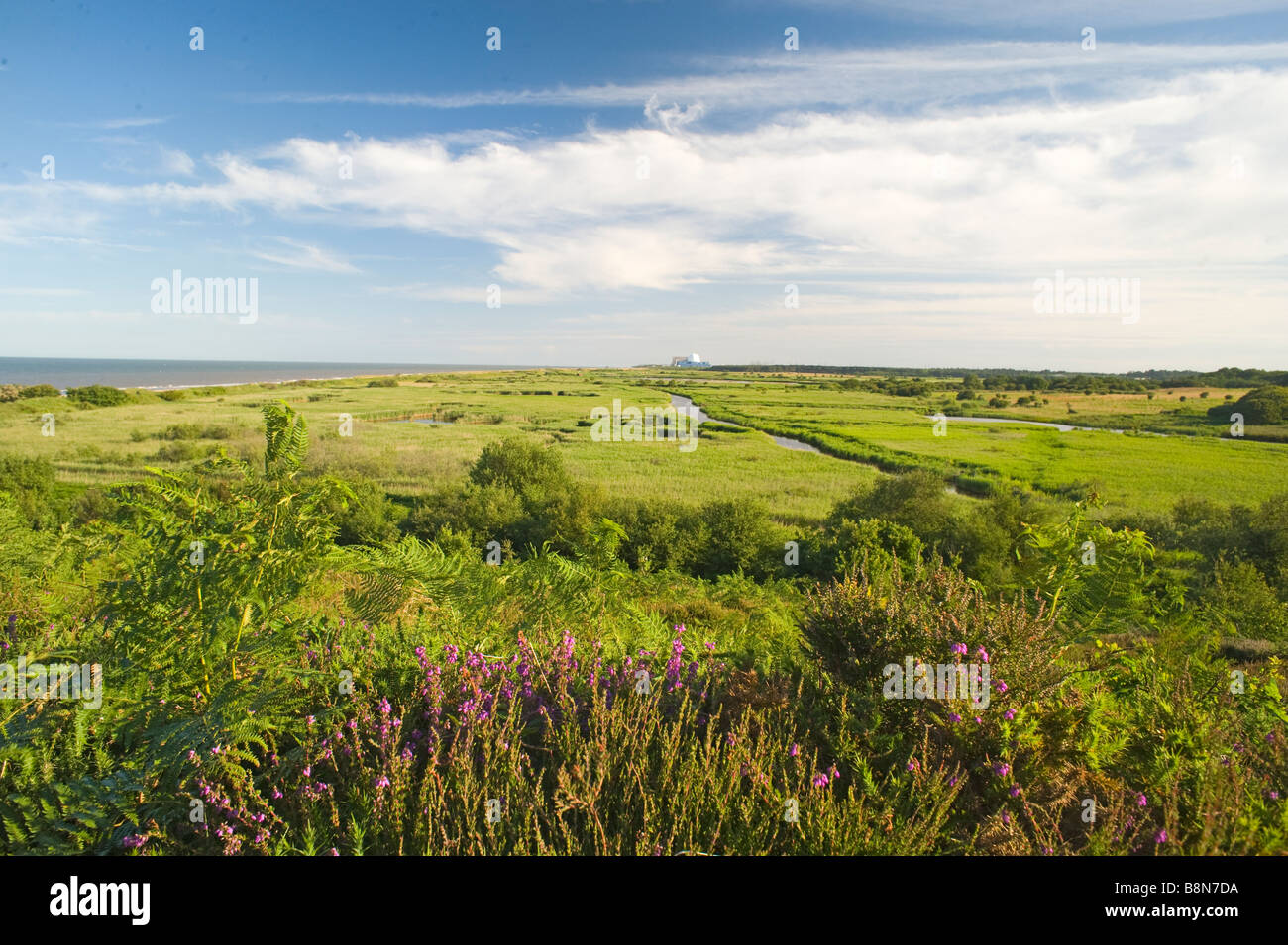 View across Minsmere RSPB Reserve from Dunwich Suffolk July Stock Photo