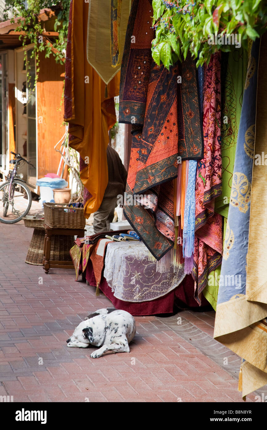 dog asleep on a pavement in front of a Turkish shop selling material, fabric and cloth in Fethiye Turkey. Stock Photo