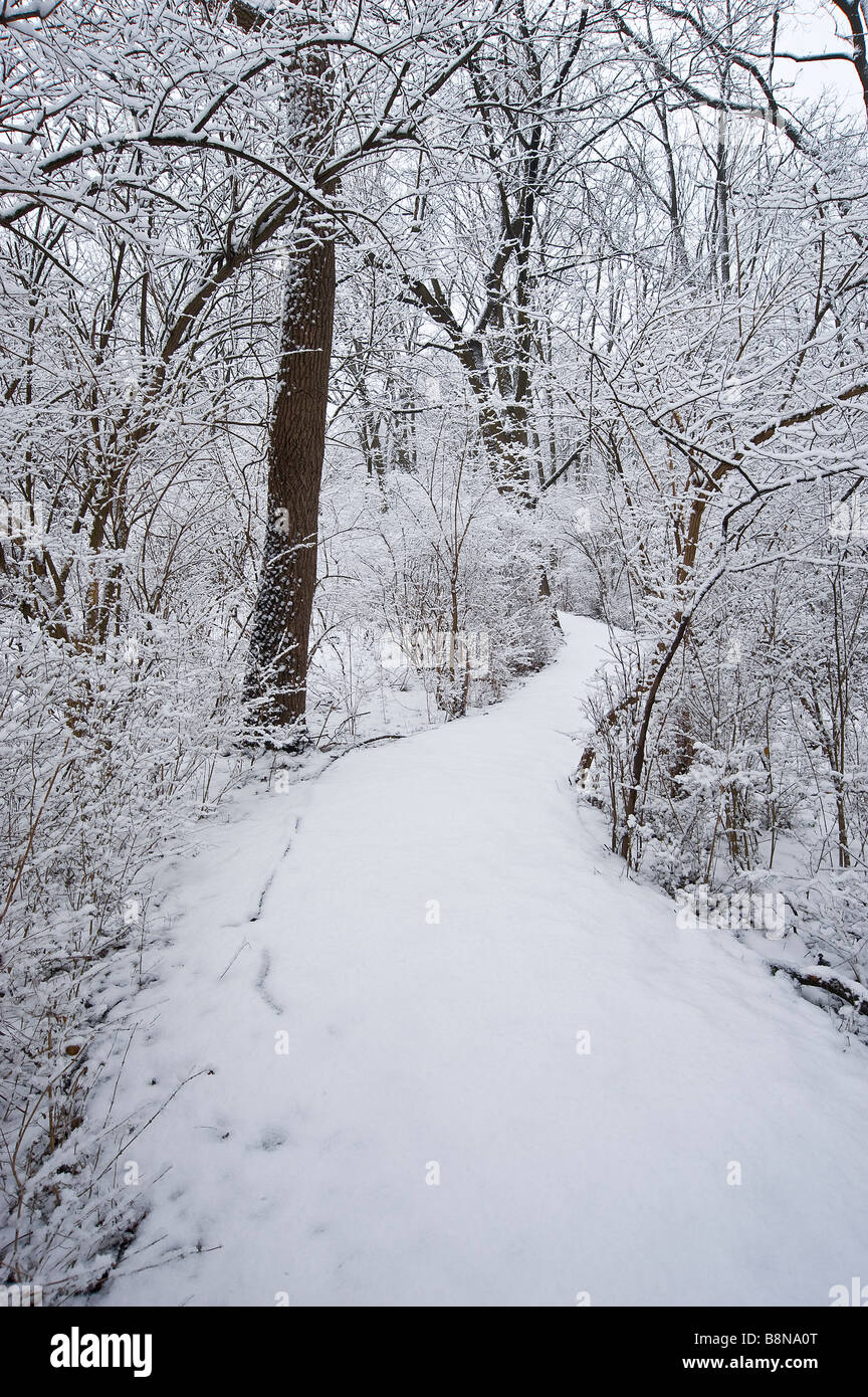Snow Covered Trail Through Woods In Winter Stock Photo