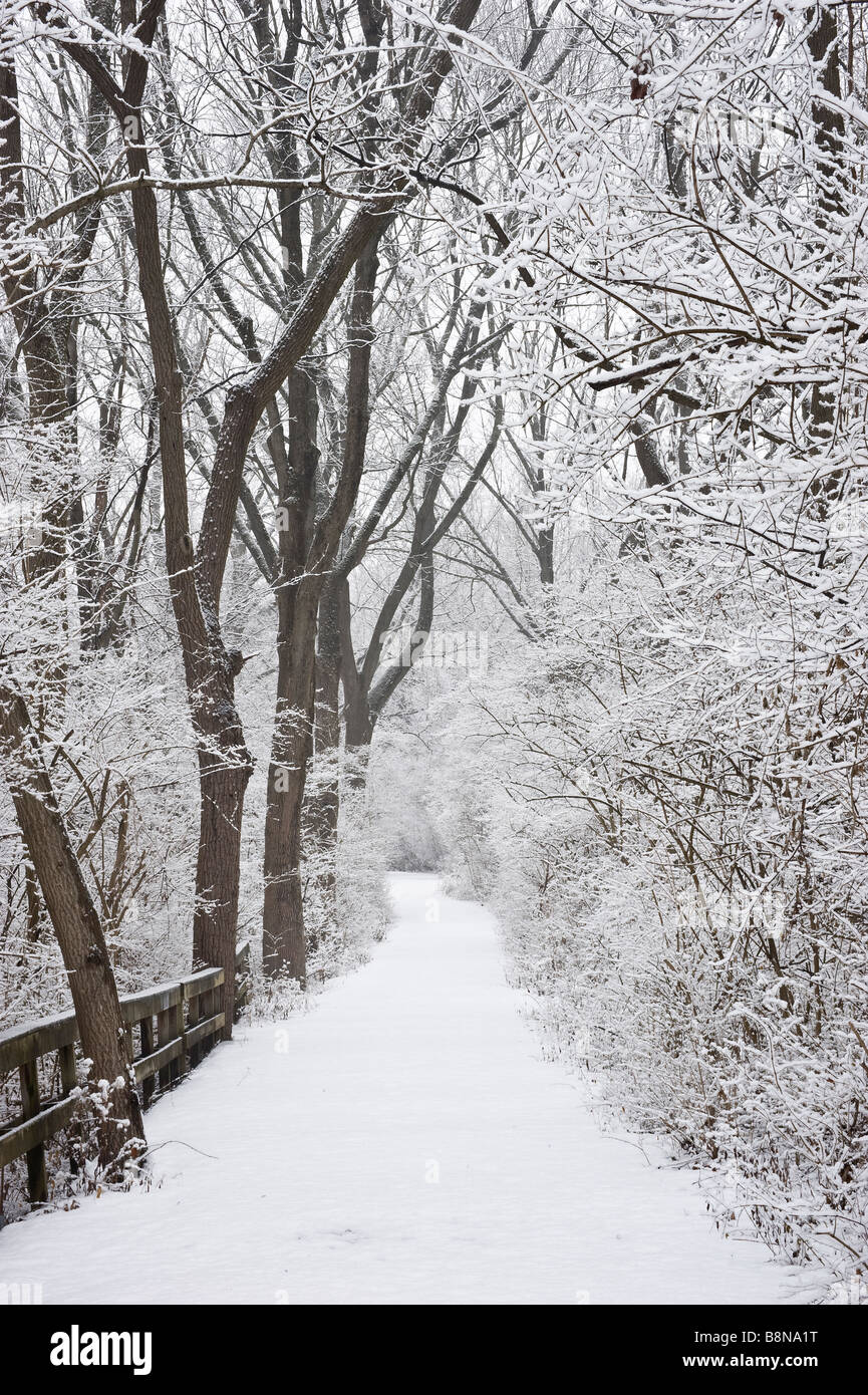 Snow Covered Trail Through Woods In Winter Stock Photo