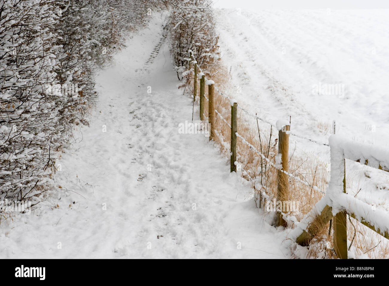 Freezing cold weather and Winter snowfall covering a footpath on the edge of a Chilterns field in Buckinghamshire, UK Stock Photo