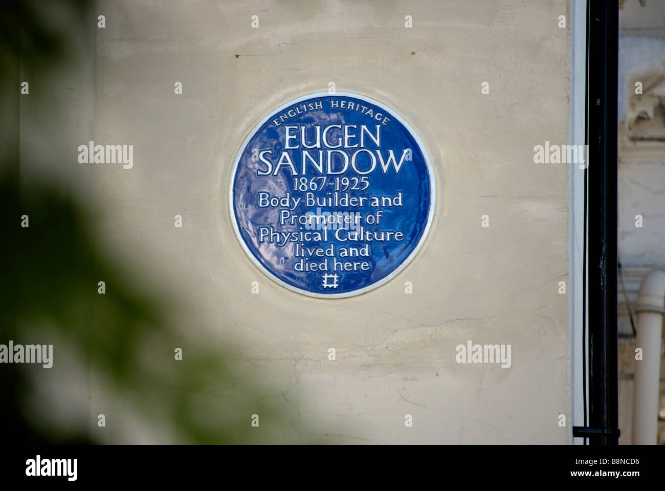 english heritage blue plaque marking a former home of pioneering body builder eugen sandow, in holland park, london, england Stock Photo
