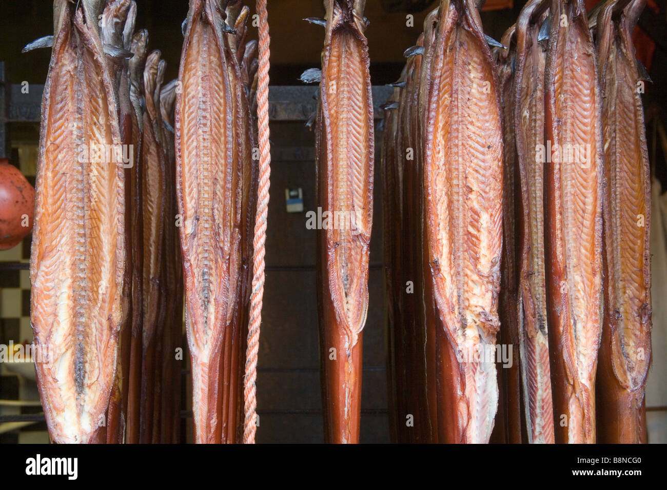 Smoked Eel Rökt Ål Stock Photo Alamy
