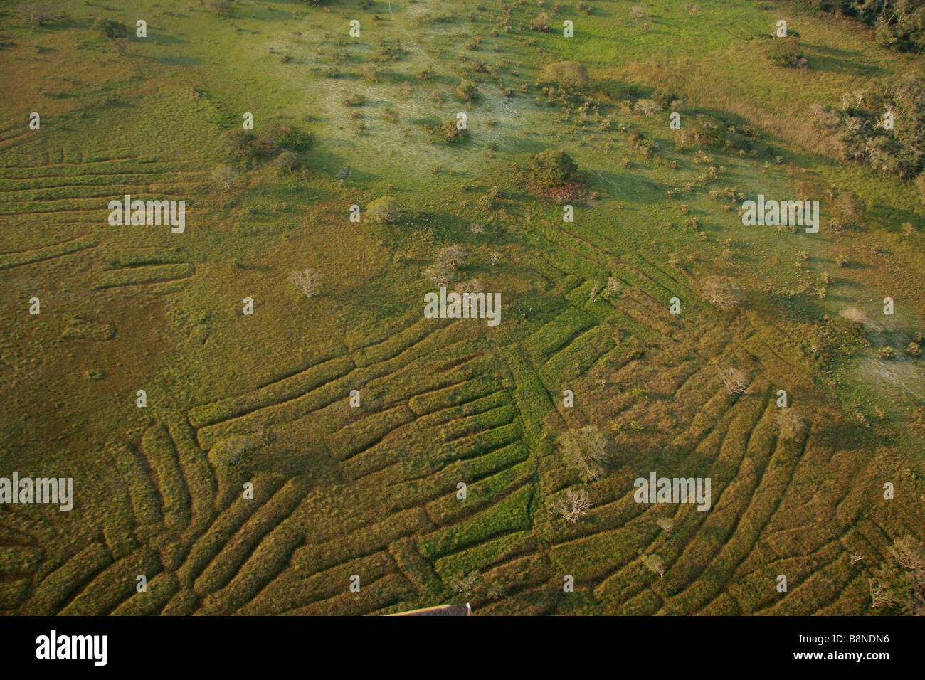 Aerial view of old cultivation in the Futi-Tembe Transfrontier area Stock Photo