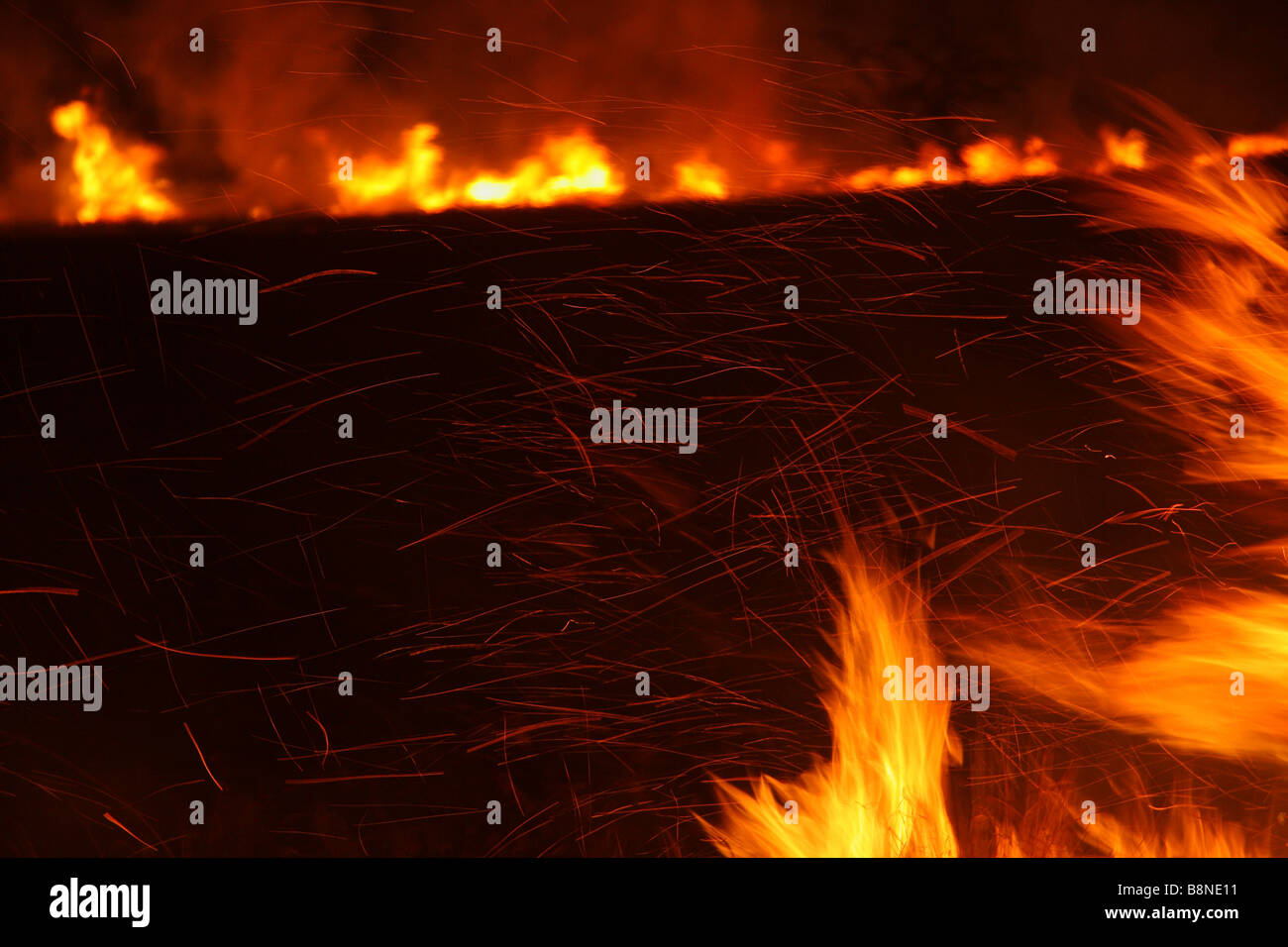 Raging veld fire in Tembe Elephant Park Stock Photo