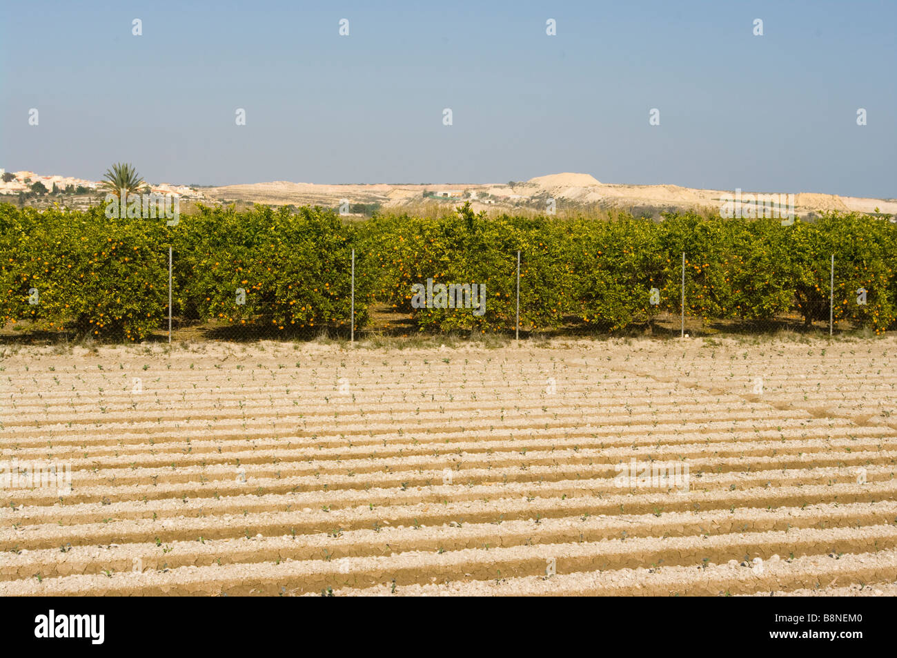 Spanish orange hires stock photography and images Alamy