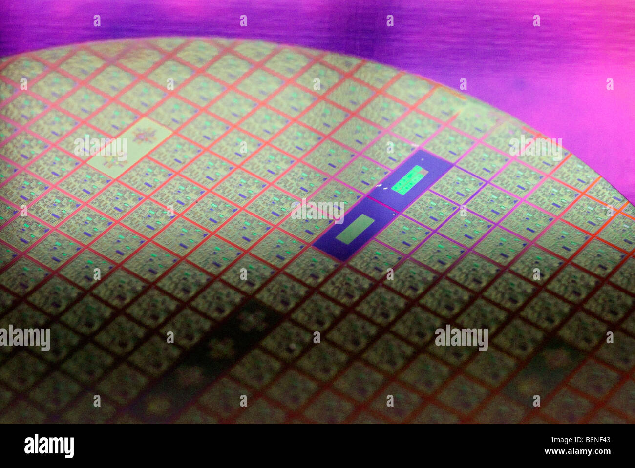 Semiconductor silicon computer wafer containing multiple microchip circuits prior to being cut into individual computer chips. Stock Photo