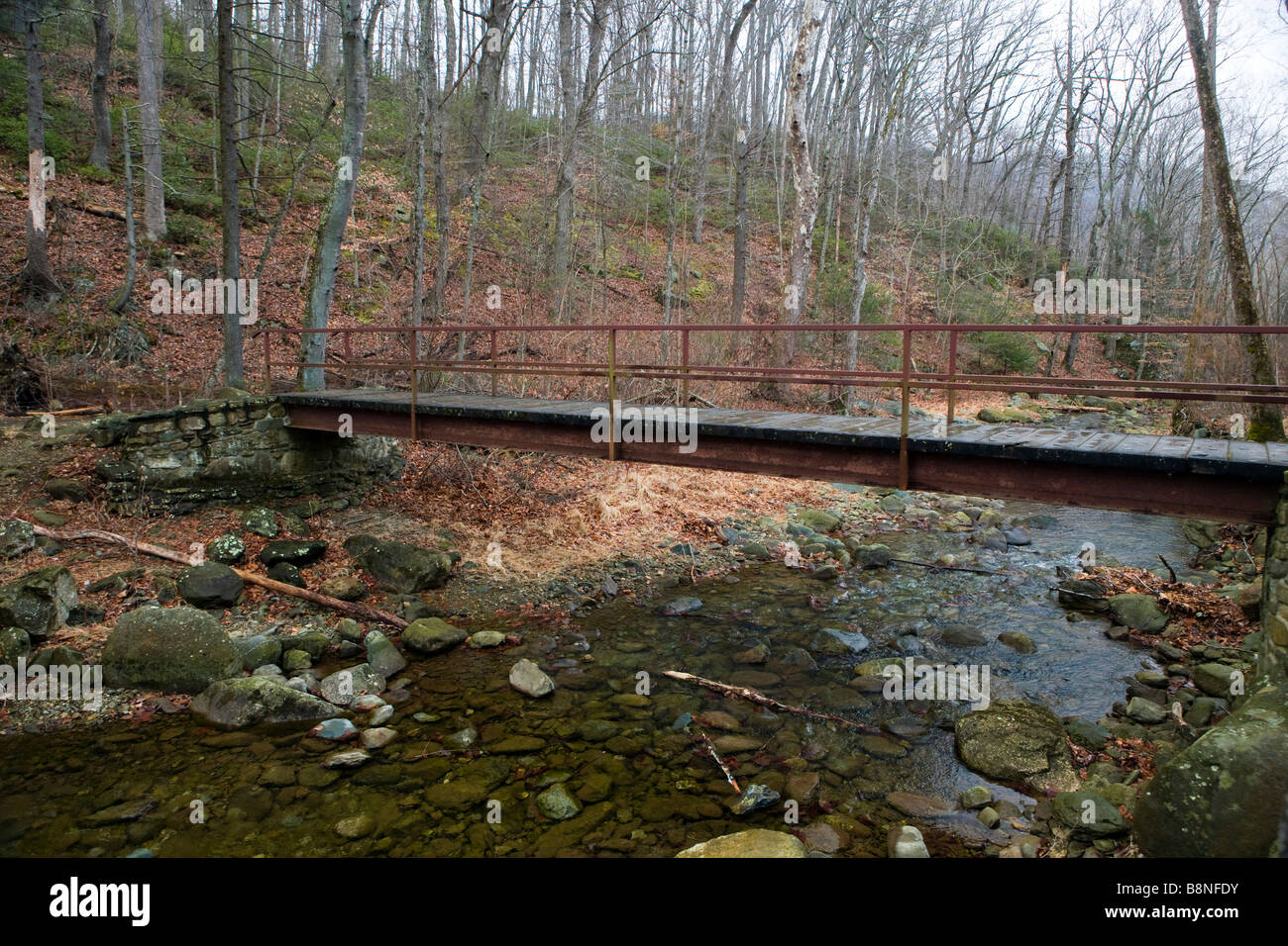 A pedestrian footbridge spans across a rocky creek Whiteoak Canyon Trail and Falls Shenandoah National Park Virginia Stock Photo