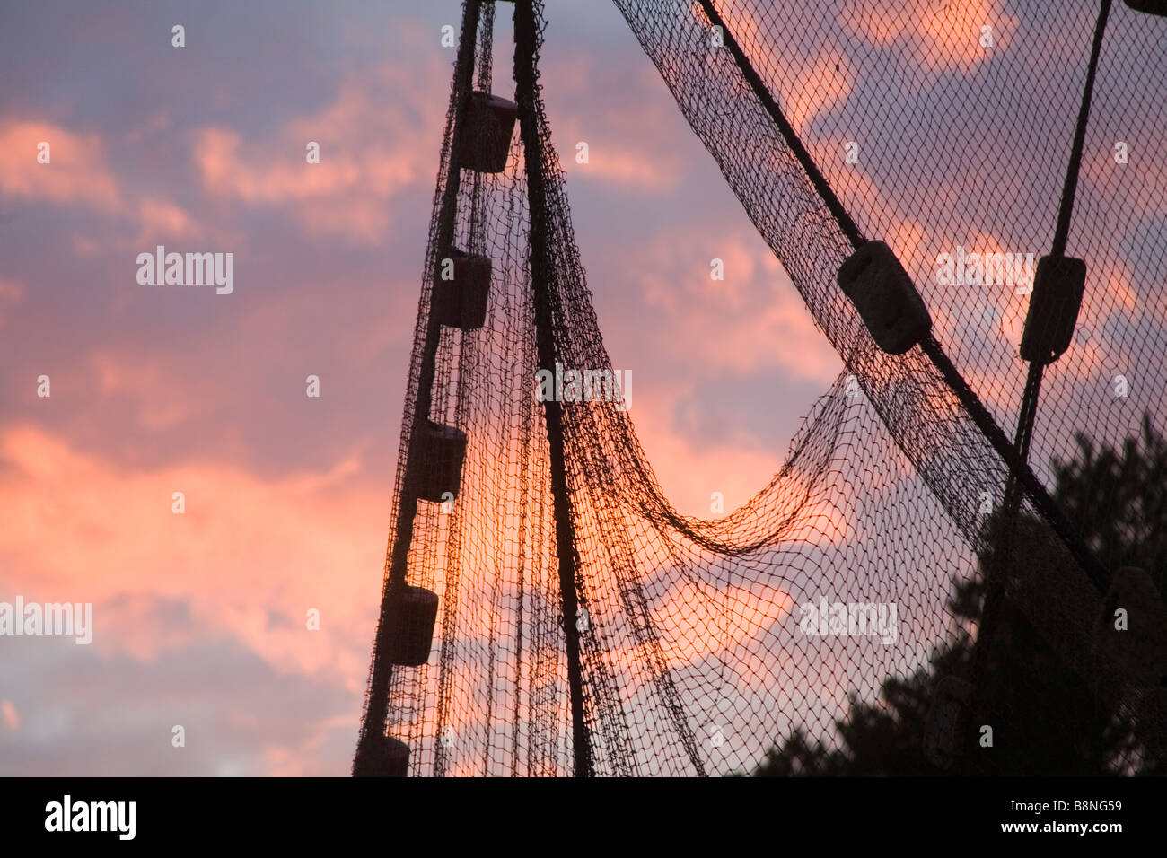 Fishing net Eel A. anguilla Sweden Ålryssja Stock Photo Alamy