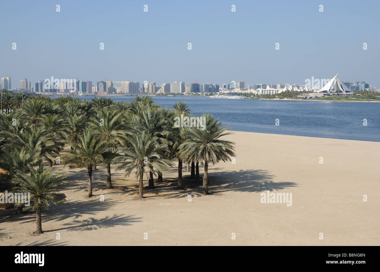 Palm Trees on the Beach at Dubai Creek Stock Photo