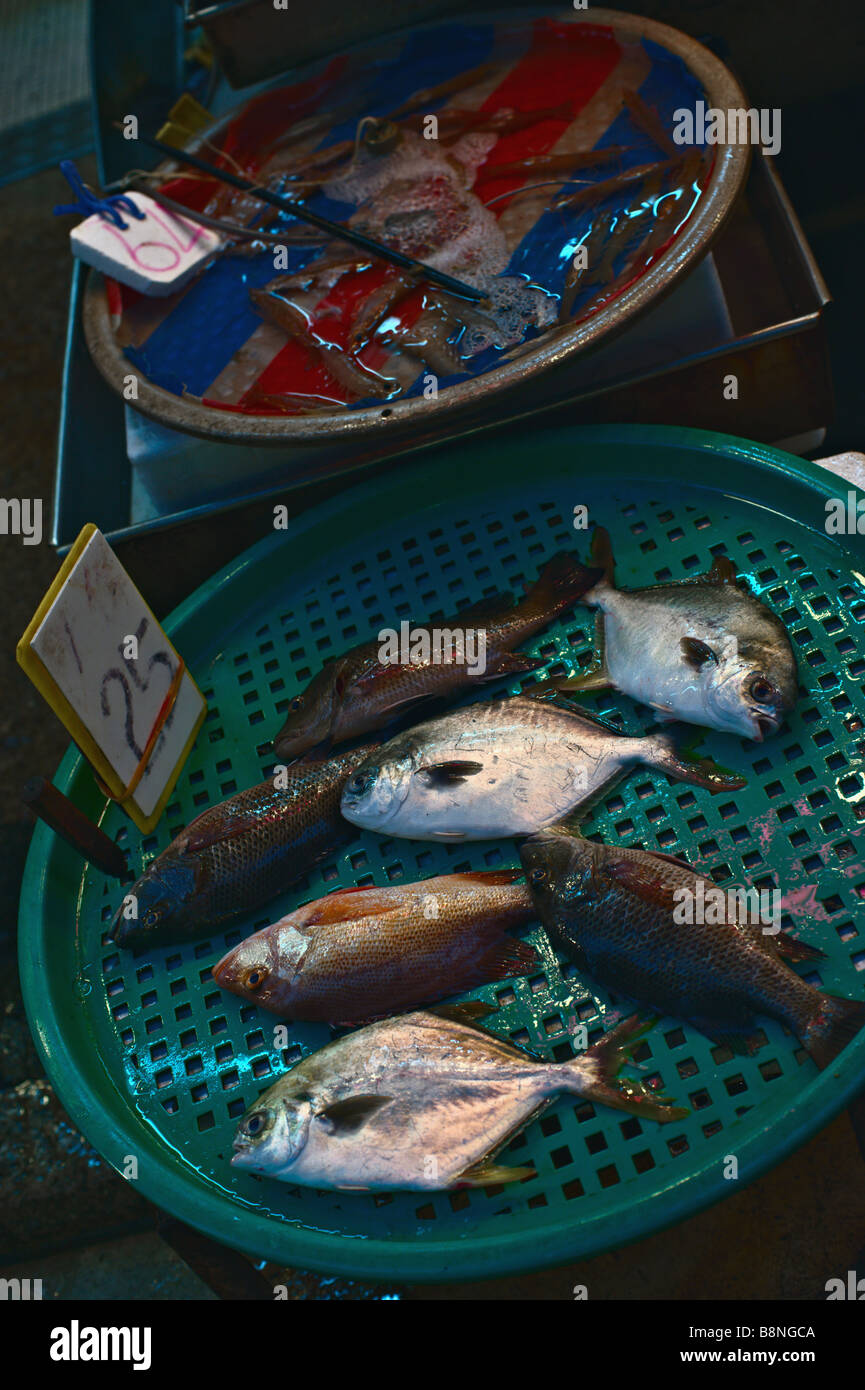 Fresh fish on sale Gage Street wetmarket Hong Kong Stock Photo