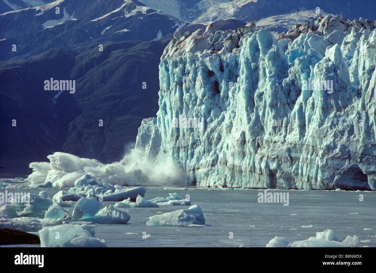 Iceberg calving from tidewater face of Hubbard Glacier Wrangell St