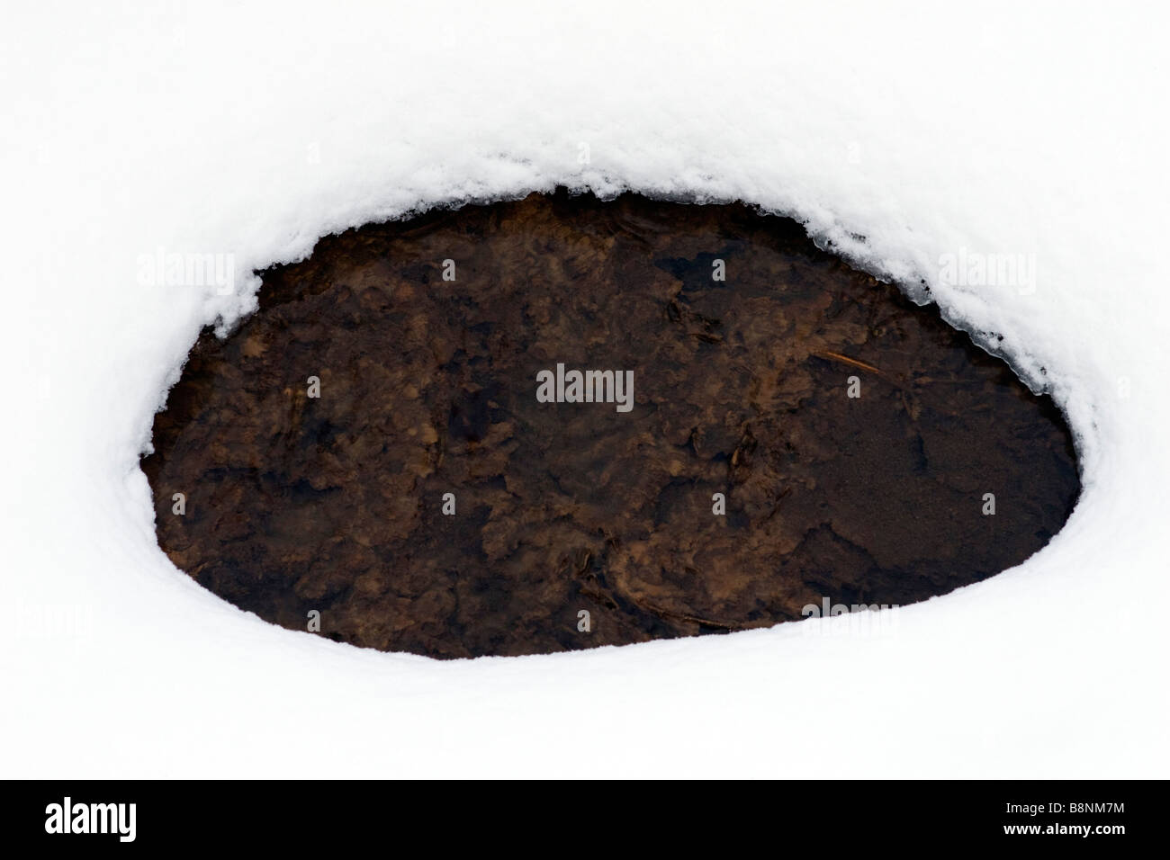 Oval thawed patch on the ice covering river stream in spring. Stock Photo