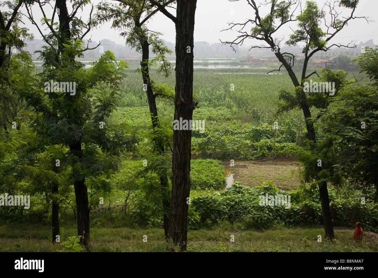 Agricultural landscape by the city walls of Kaifeng, ancient imperial capital of China, Henan Province Stock Photo