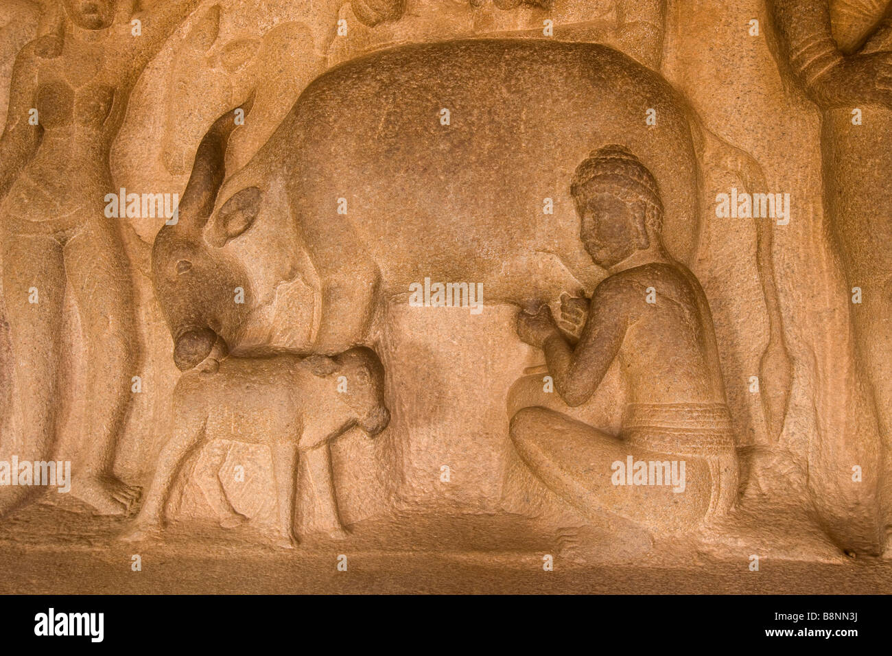 India Tamil Nadu Mamallapuram Krishna Mandapa stone carving of man milking cow Stock Photo