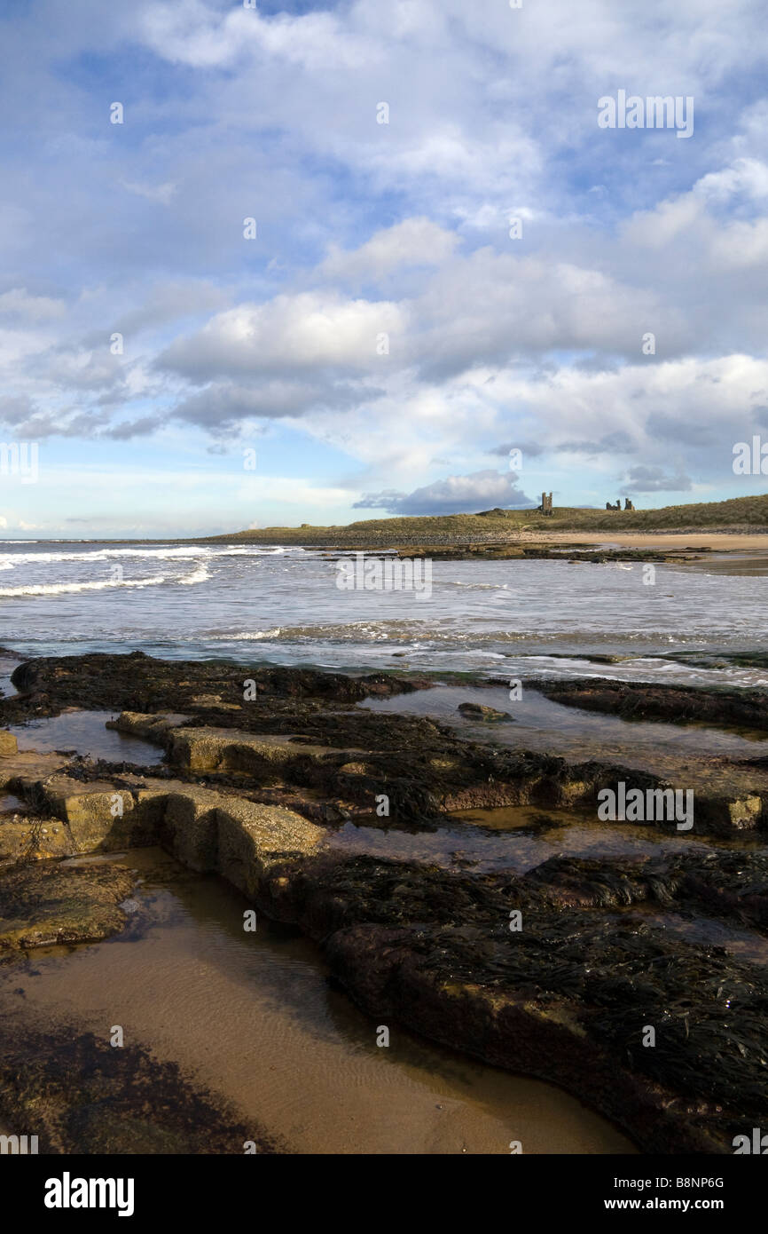 View from Embleton Bay, Northumberland, looking towards Dunstanburgh Castle Stock Photo